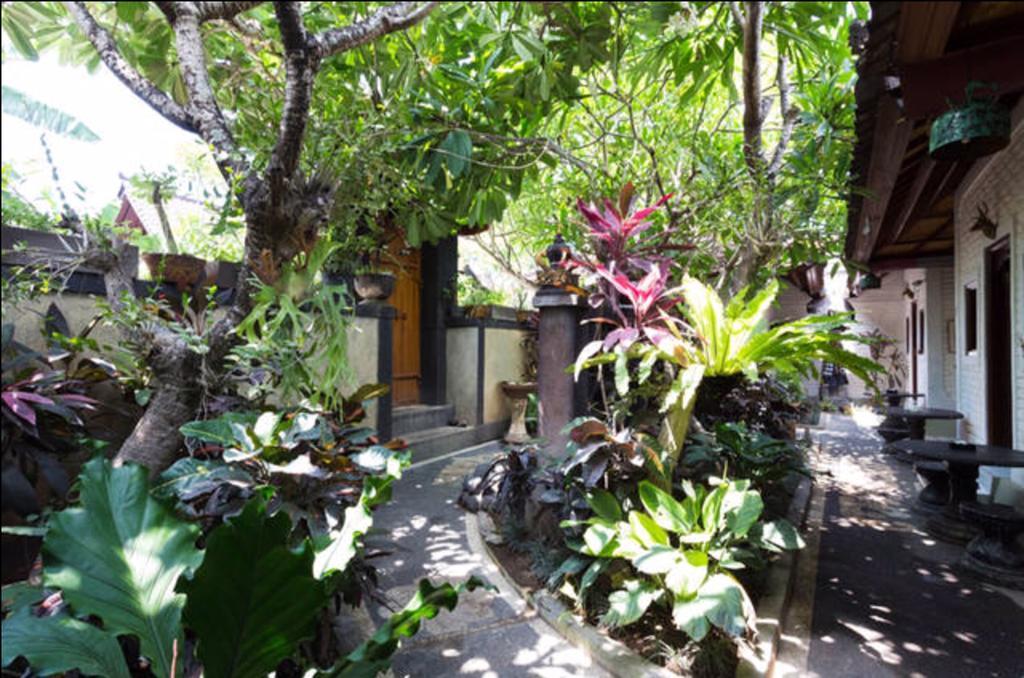 New Danas Canggu Guest House 캐로보칸 외부 사진